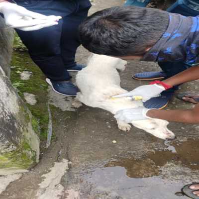Rescue operation 2