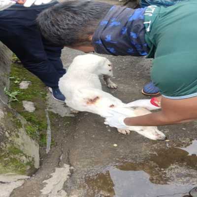 Rescue operation 3