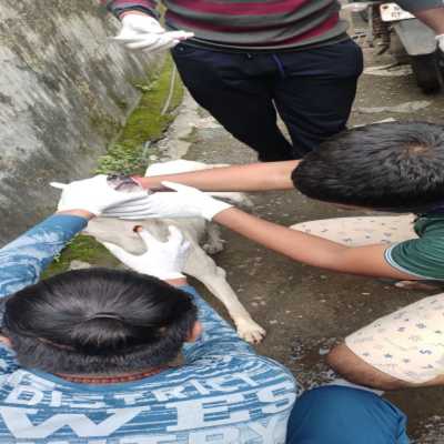 Medical operation 3