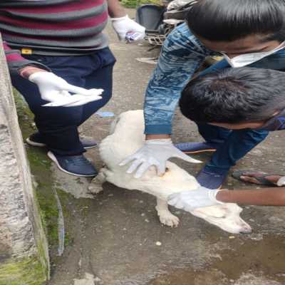 Medical operation 4