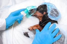 Medical operation 5