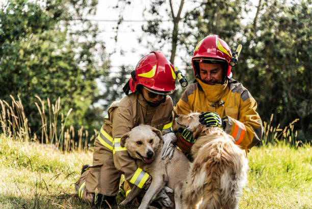 Rescue operation 5