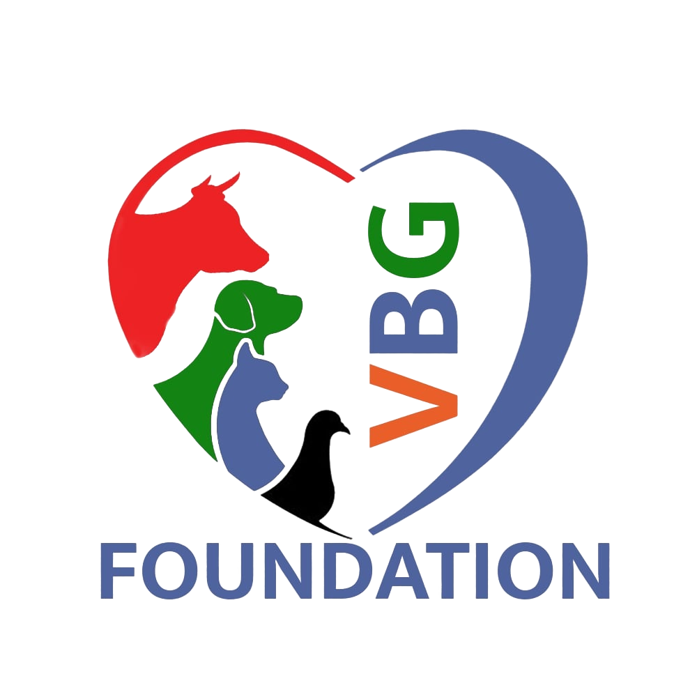 VBG Foundation Logo