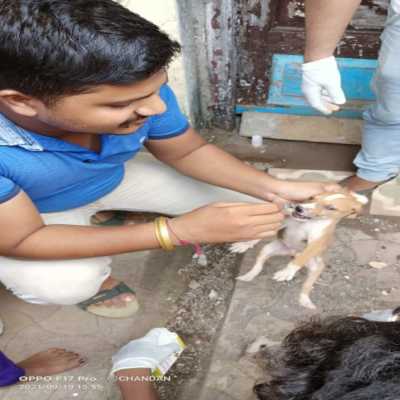 Medical operation 1